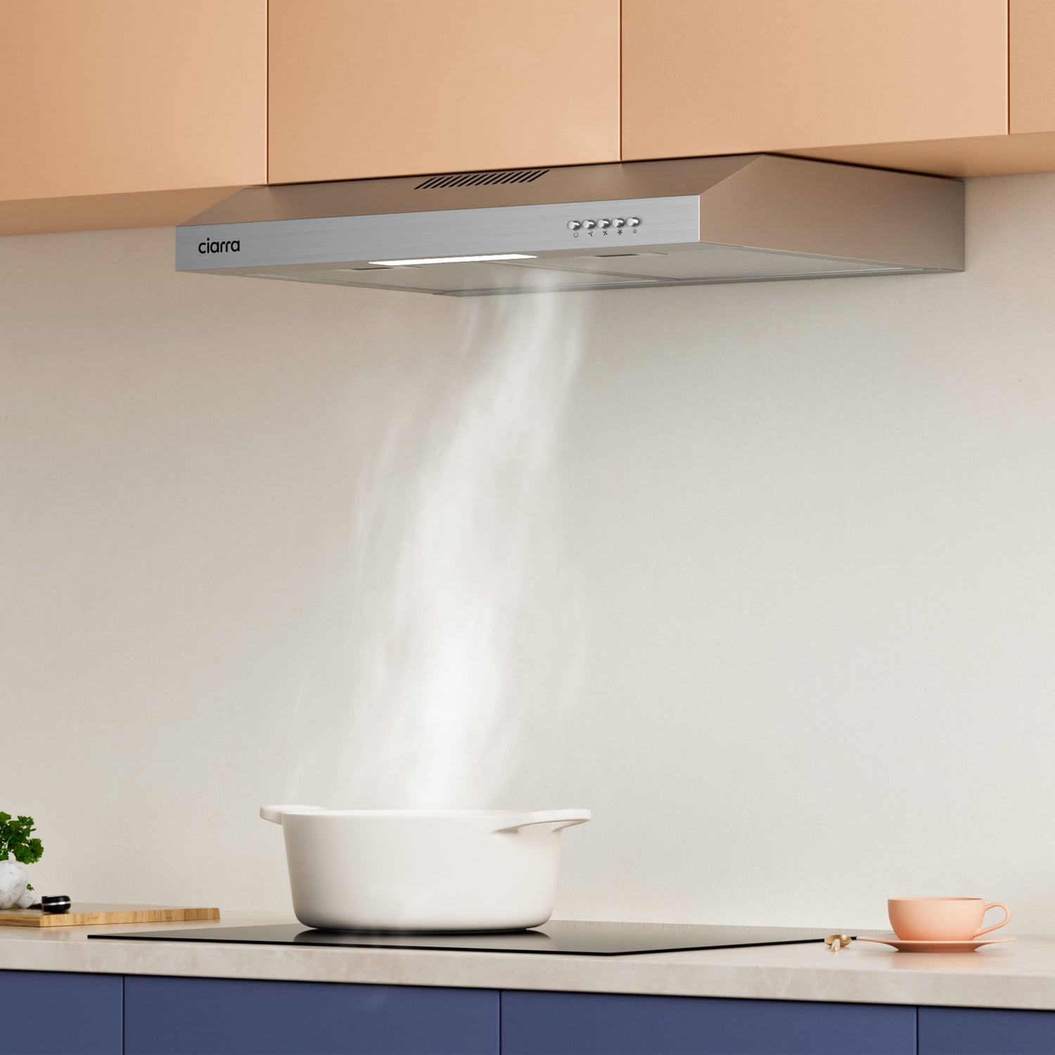 Ciarra Cappa da Cucina Integrata 60cm CBCS6903A-S